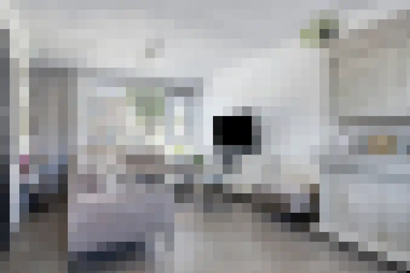 Hiddes de Friesstraat 6 Veghel thumbnail 7