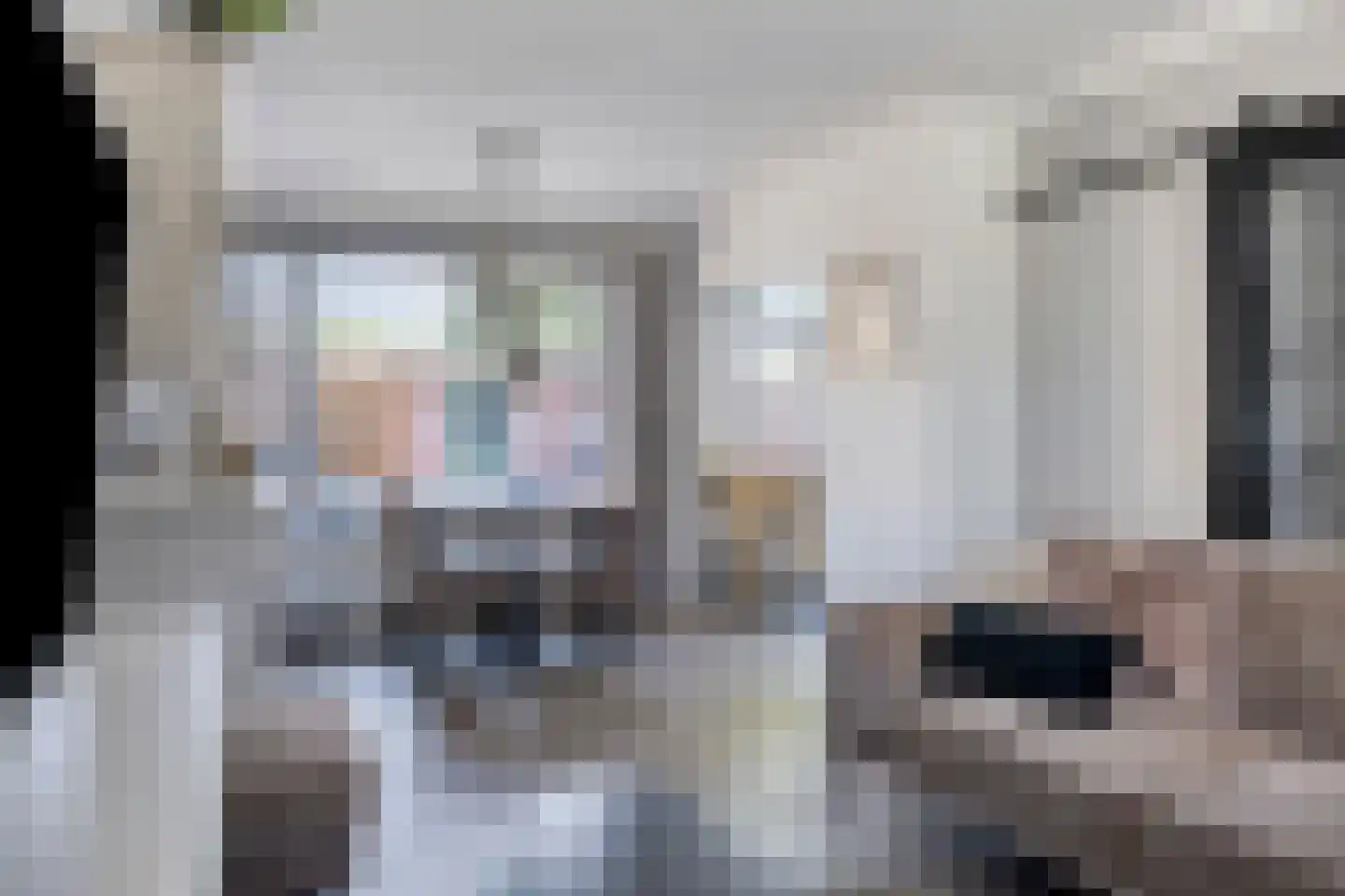 Hiddes de Friesstraat 6 Veghel thumbnail 9