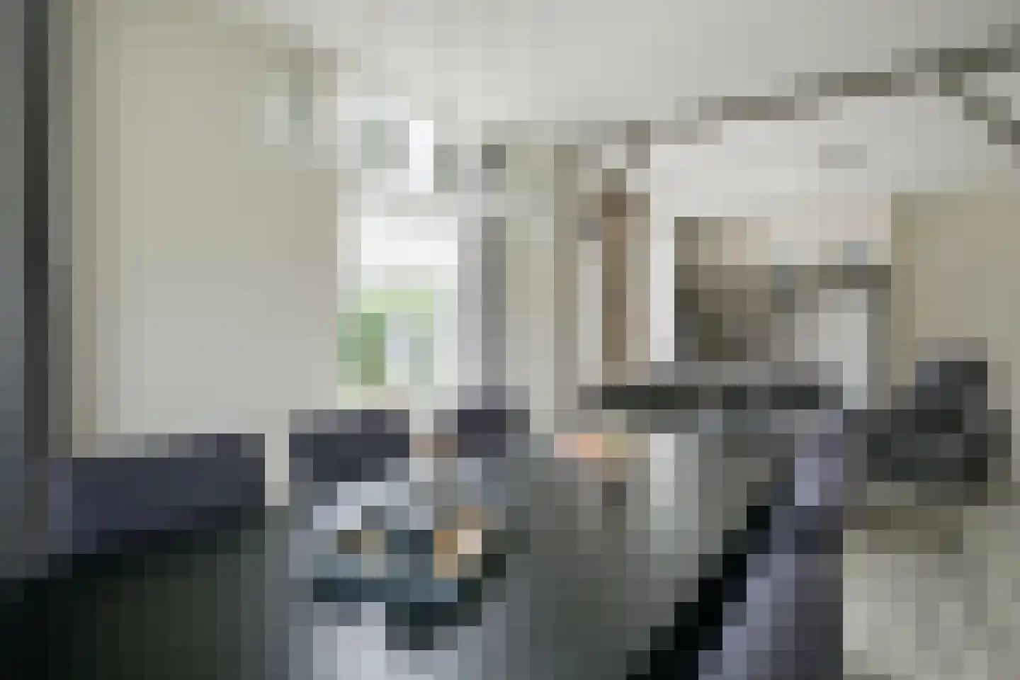 Hiddinkdijk 31 Heelweg thumbnail 20