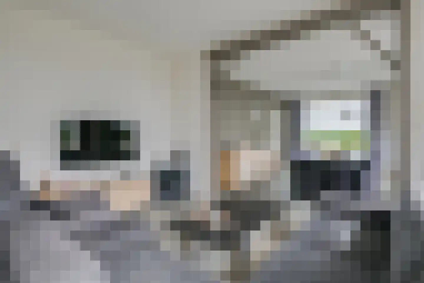 Hiddinkdijk 31 Heelweg thumbnail 23