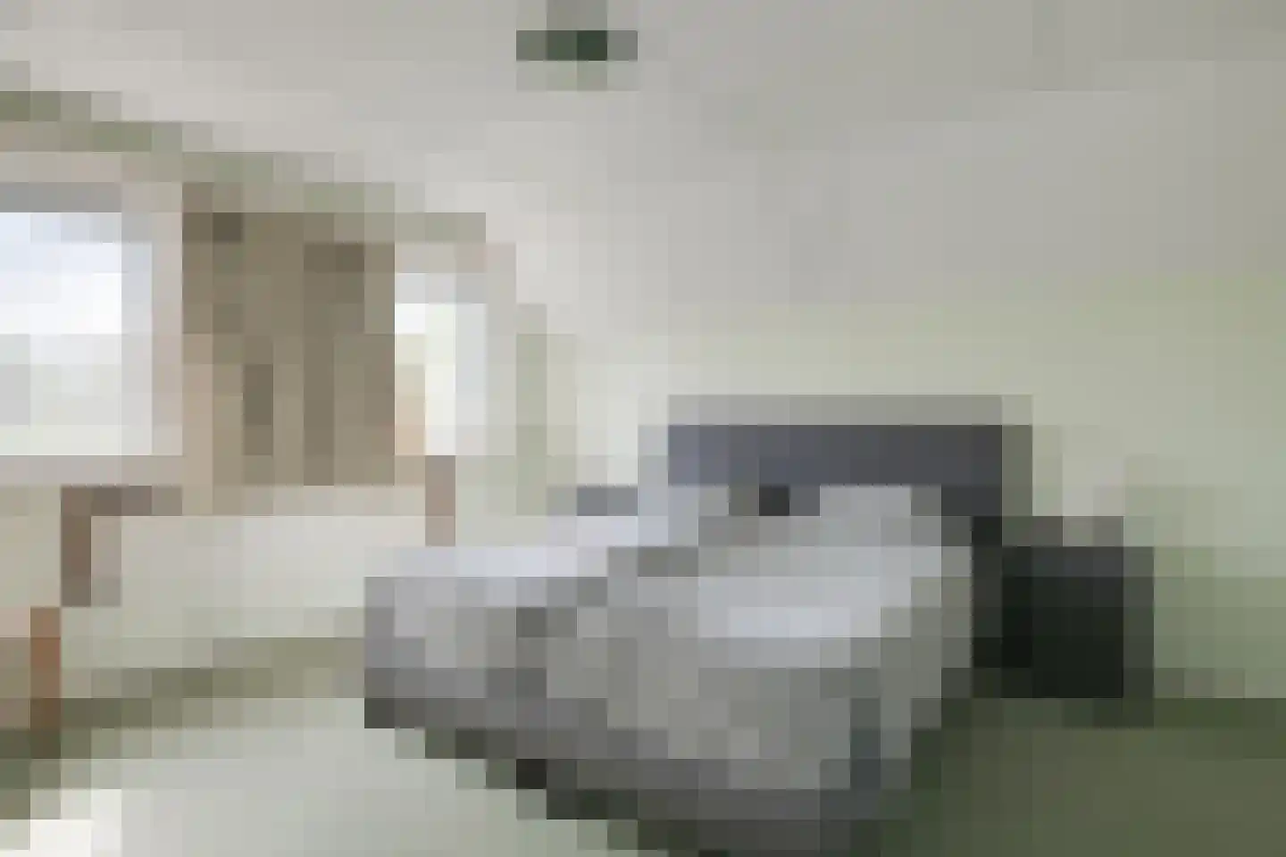 Hiddinkdijk 31 Heelweg thumbnail 32