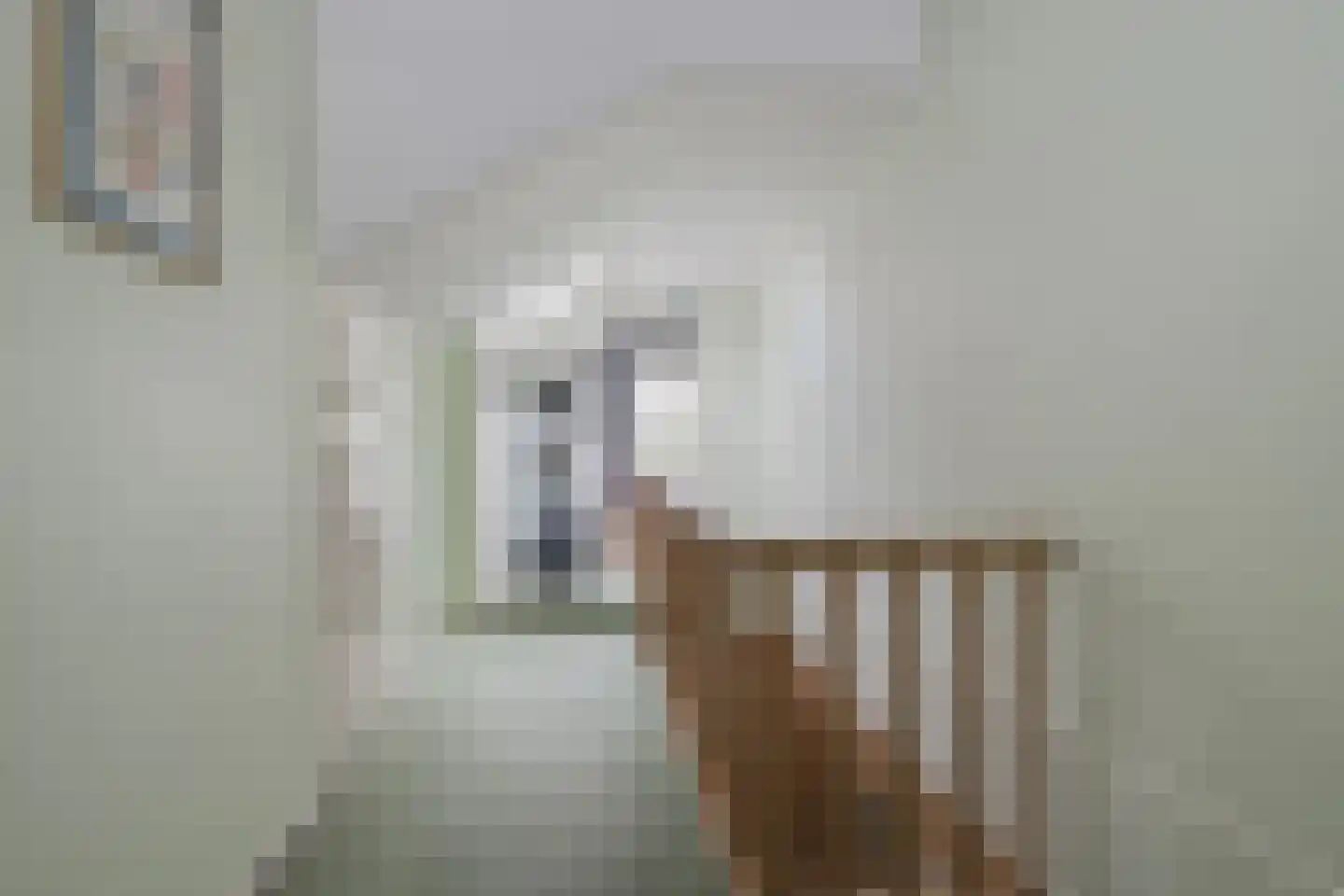 Hiddinkdijk 31 Heelweg thumbnail 33