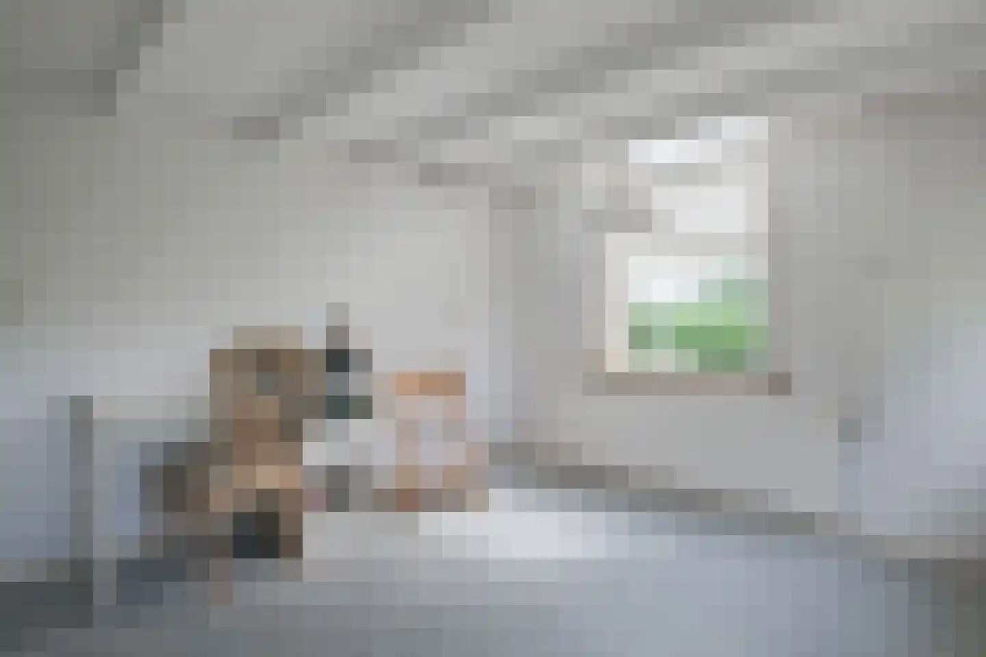 Hiddinkdijk 31 Heelweg thumbnail 34