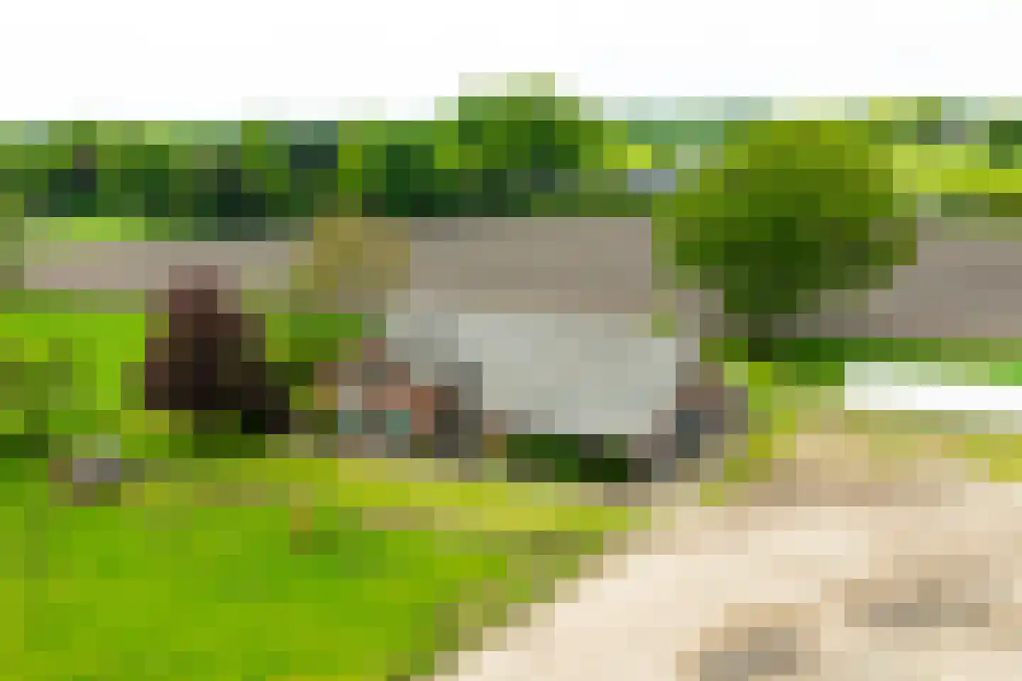Hiddinkdijk 31 Heelweg thumbnail 41