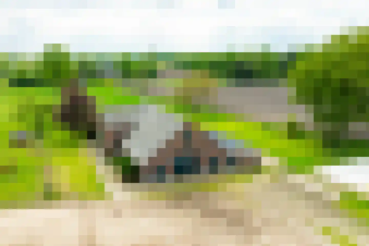 Hiddinkdijk 31 Heelweg thumbnail 42