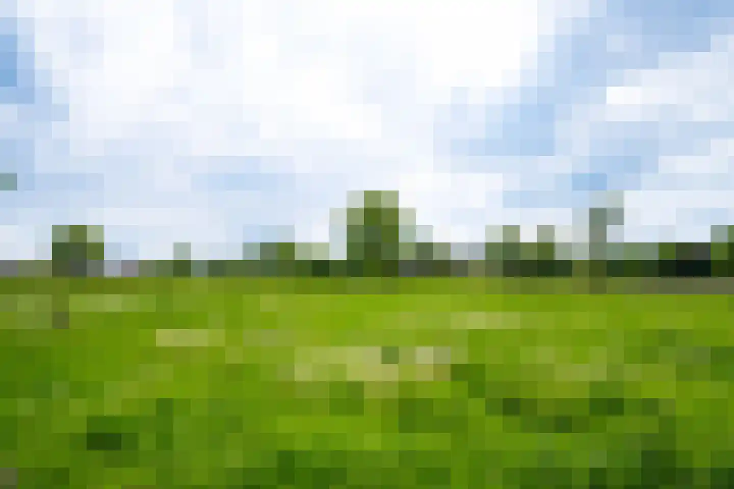 Hiddinkdijk 31 Heelweg thumbnail 43