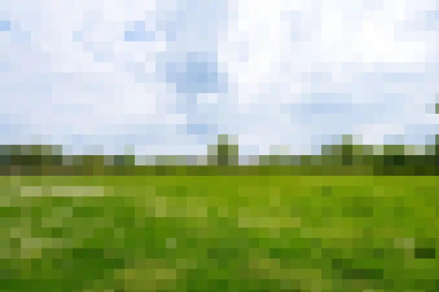 Hiddinkdijk 31 Heelweg thumbnail 44