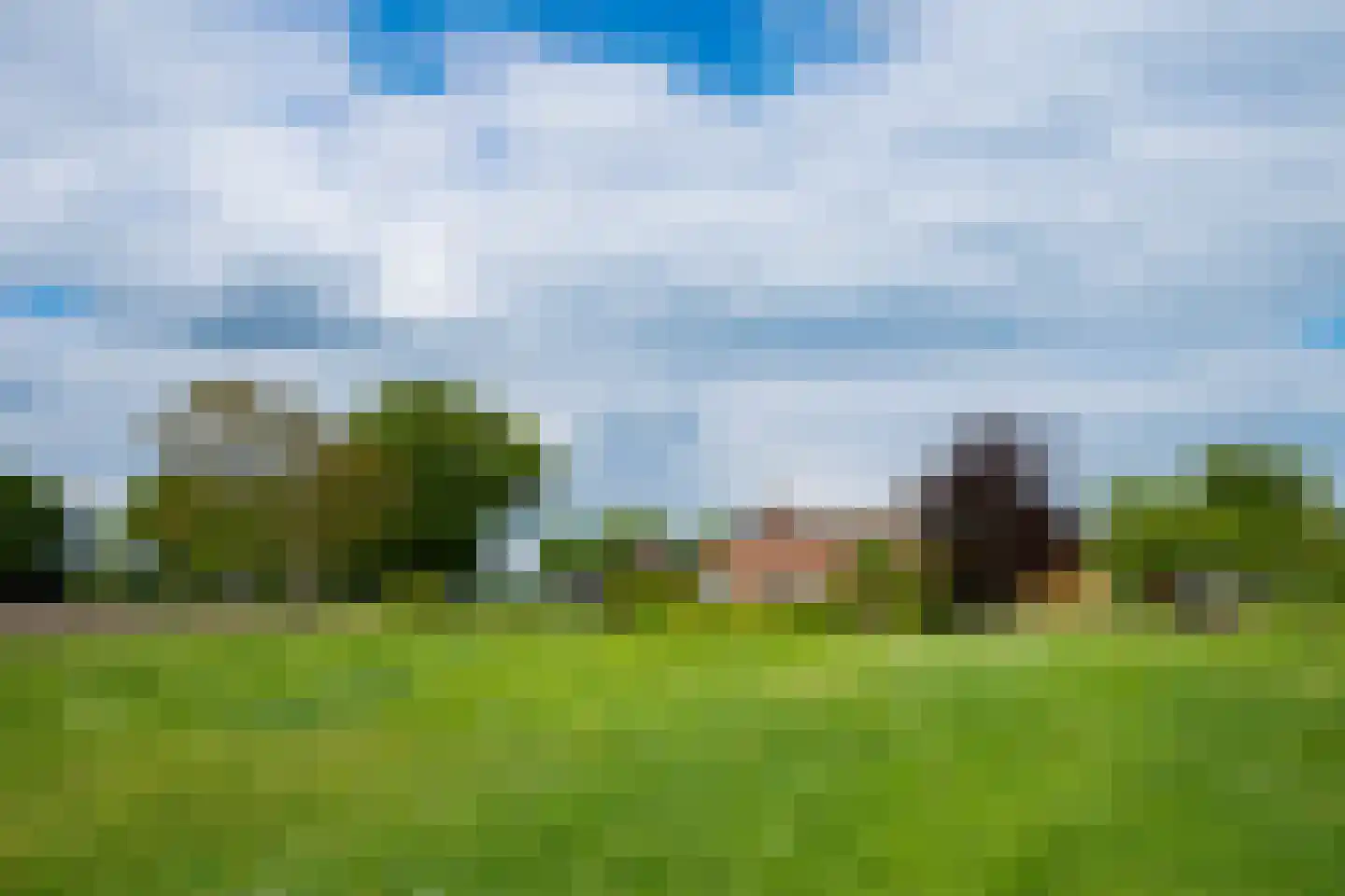 Hiddinkdijk 31 Heelweg thumbnail 45
