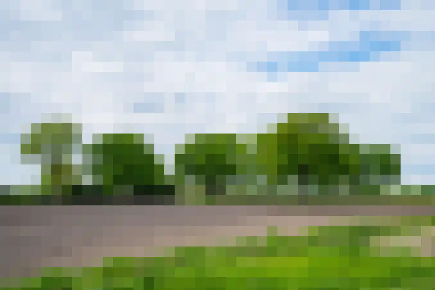 Hiddinkdijk 31 Heelweg thumbnail 54
