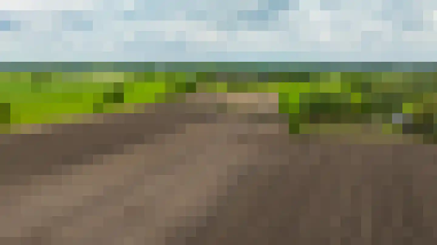 Hiddinkdijk 31 Heelweg thumbnail 55