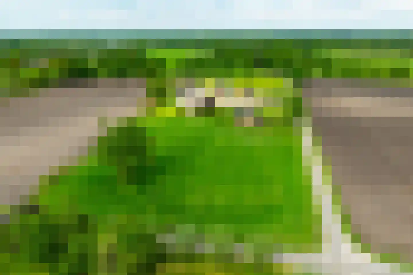 Hiddinkdijk 31 Heelweg thumbnail 7