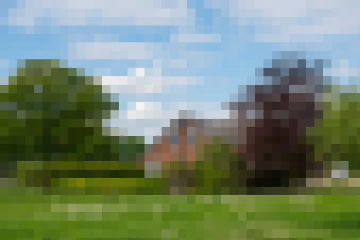Hiddinkdijk 31 Heelweg thumbnail 8