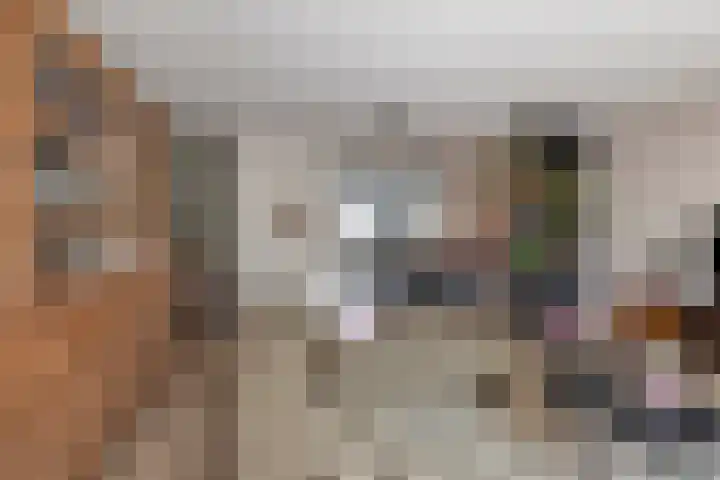 Hidsmeer 3 Culemborg thumbnail 12