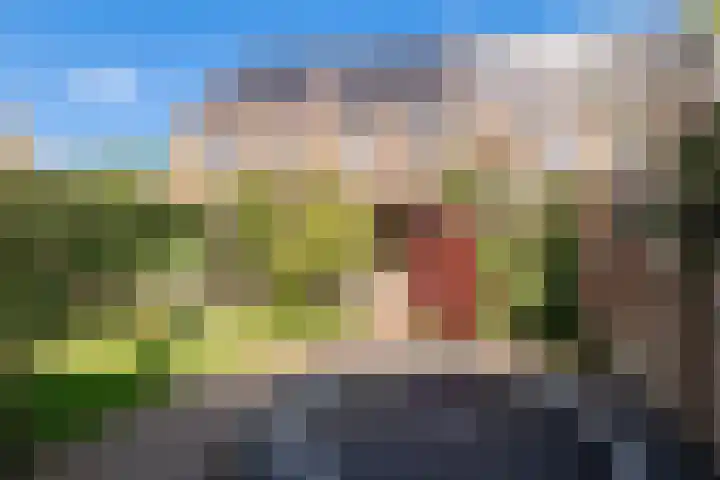 Hidsmeer 3 Culemborg thumbnail 25
