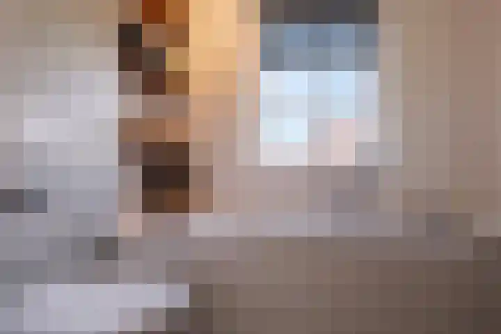 Hidsmeer 3 Culemborg thumbnail 44
