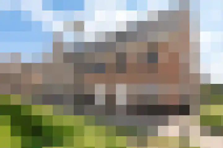Hidsmeer 3 Culemborg thumbnail 5