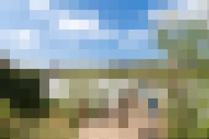 Hidsmeer 3 Culemborg thumbnail 59