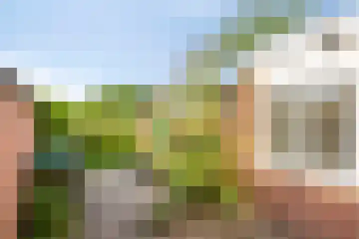 Hiedenbrinkstraat 8 Braamt thumbnail 25