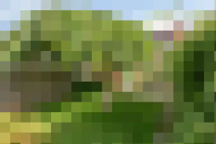 Hiedenbrinkstraat 8 Braamt thumbnail 28