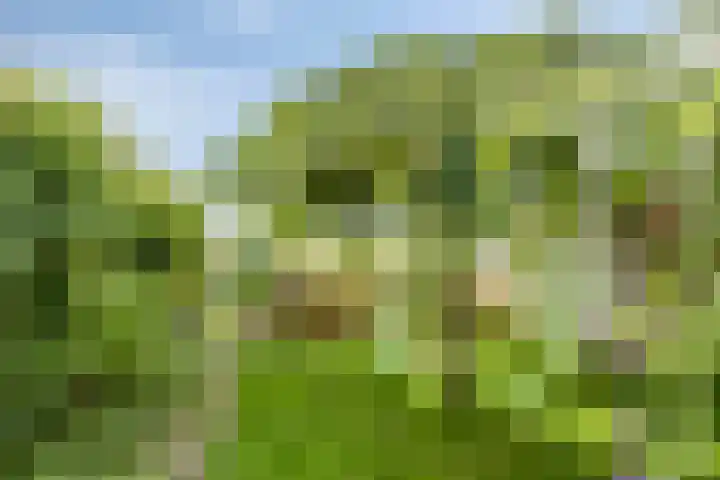 Hiedenbrinkstraat 8 Braamt thumbnail 5