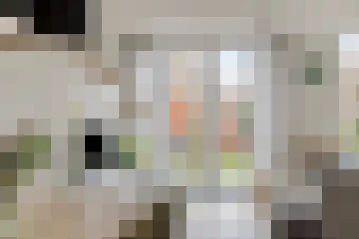 Hielbijl 47 Oosterhout thumbnail 11