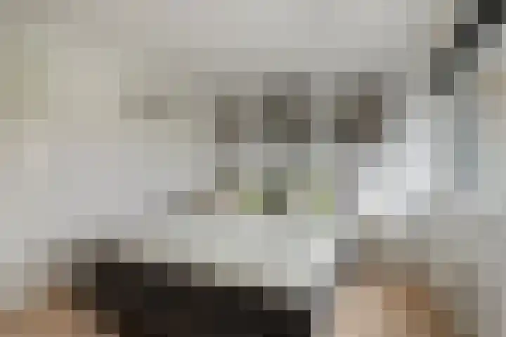 Hielbijl 47 Oosterhout thumbnail 16