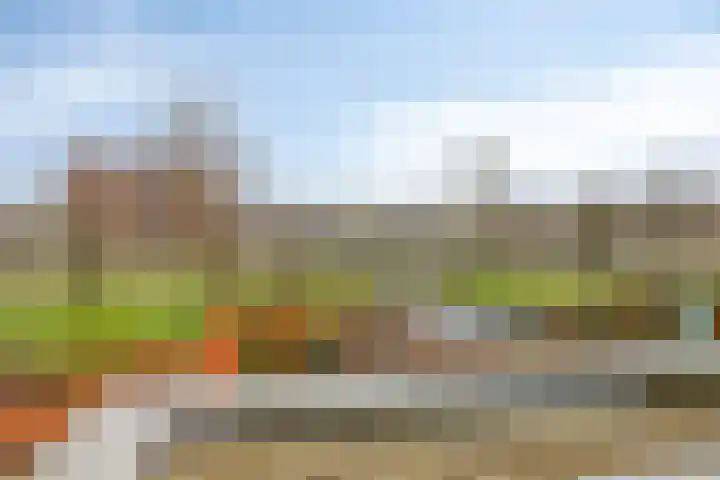 Hielbijl 47 Oosterhout thumbnail 22