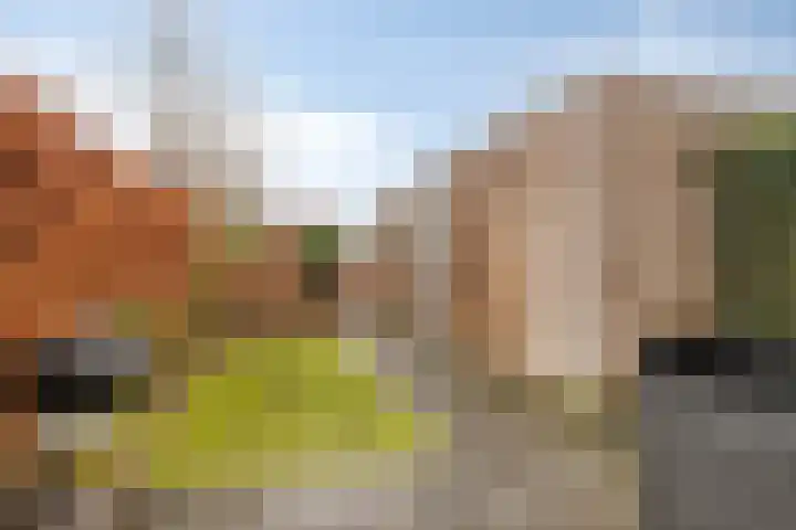 Hielbijl 47 Oosterhout thumbnail 25