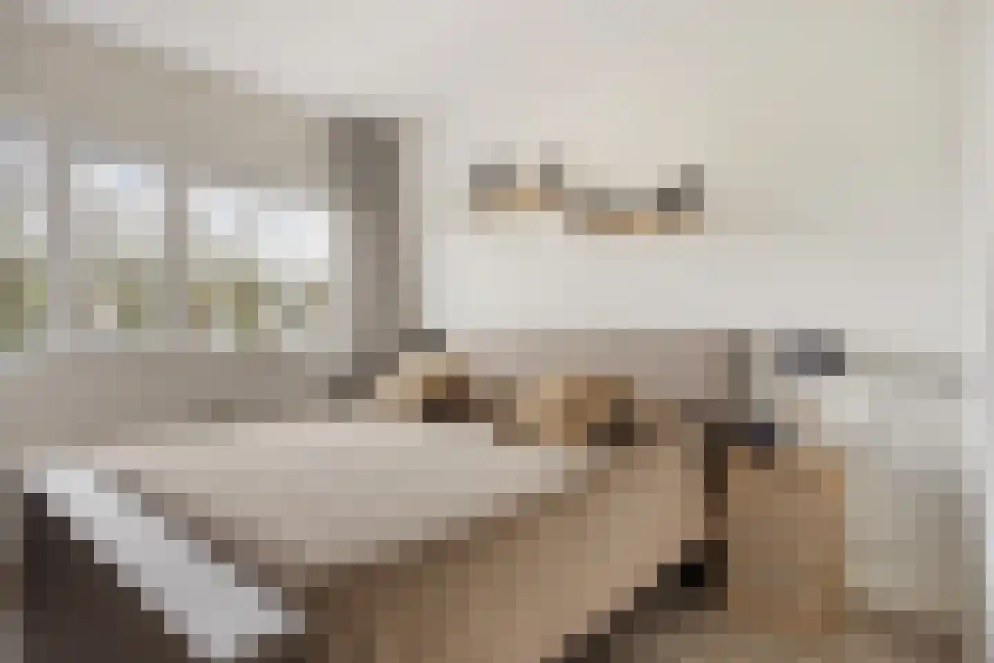 Hielbijl 73 Oosterhout thumbnail 14