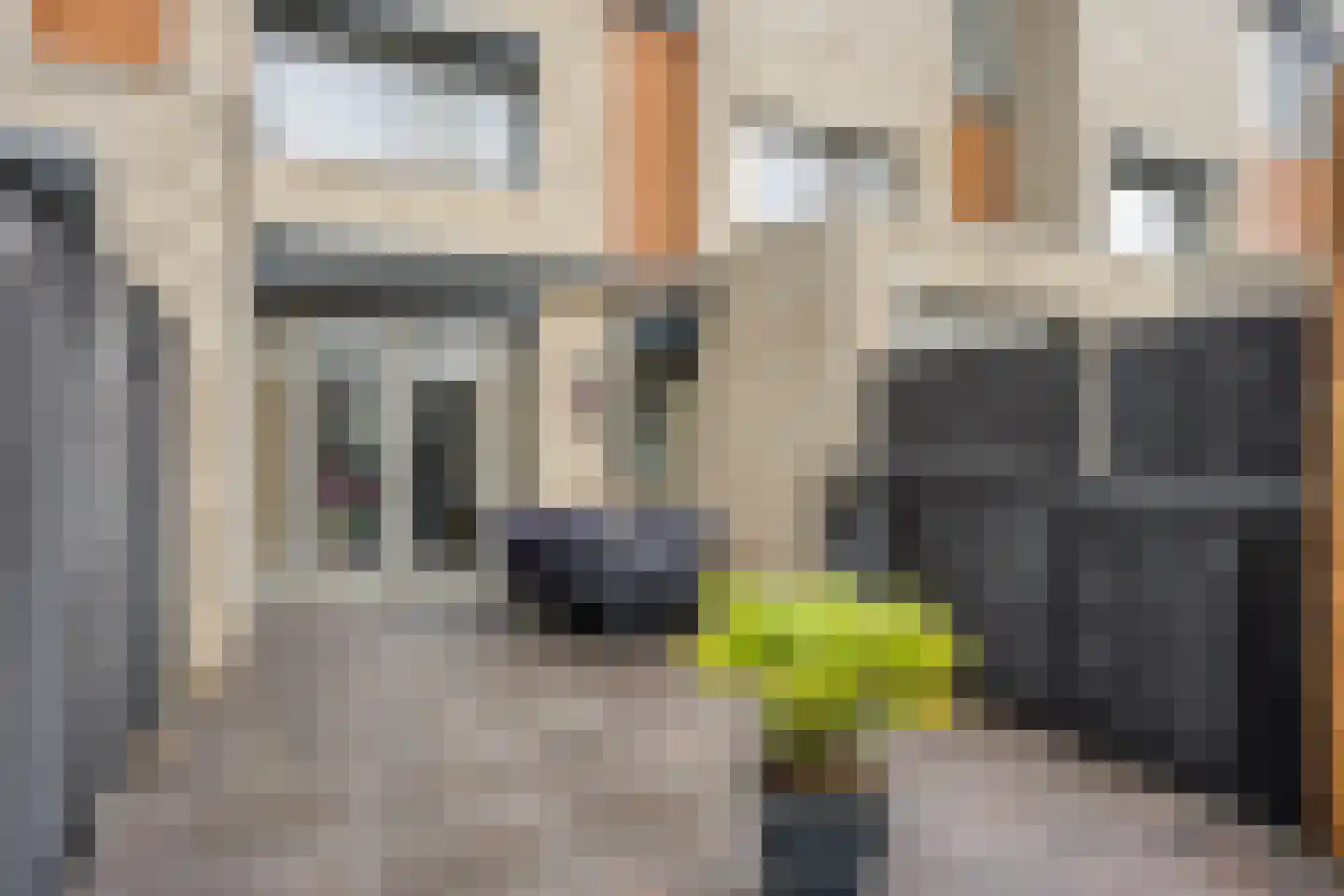Hielbijl 73 Oosterhout thumbnail 25