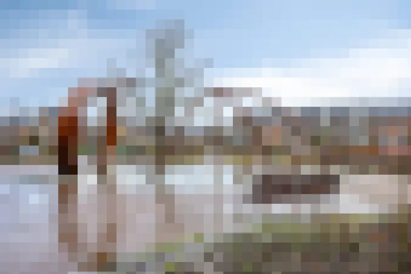 Hielbijl 73 Oosterhout thumbnail 29