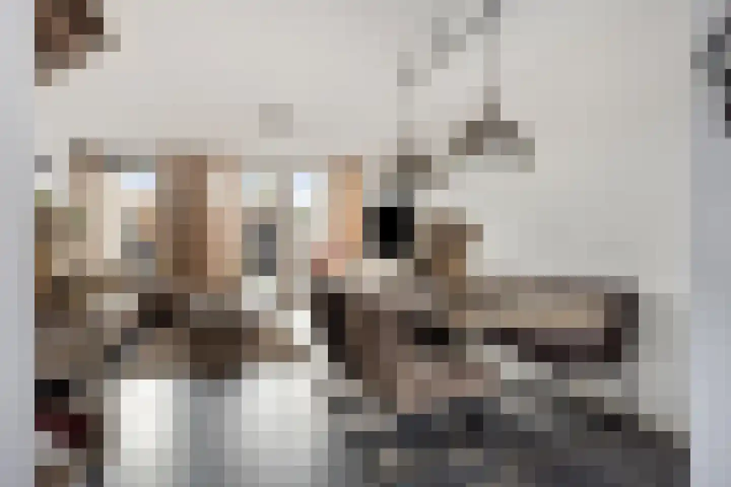 Hielbijl 73 Oosterhout thumbnail 7