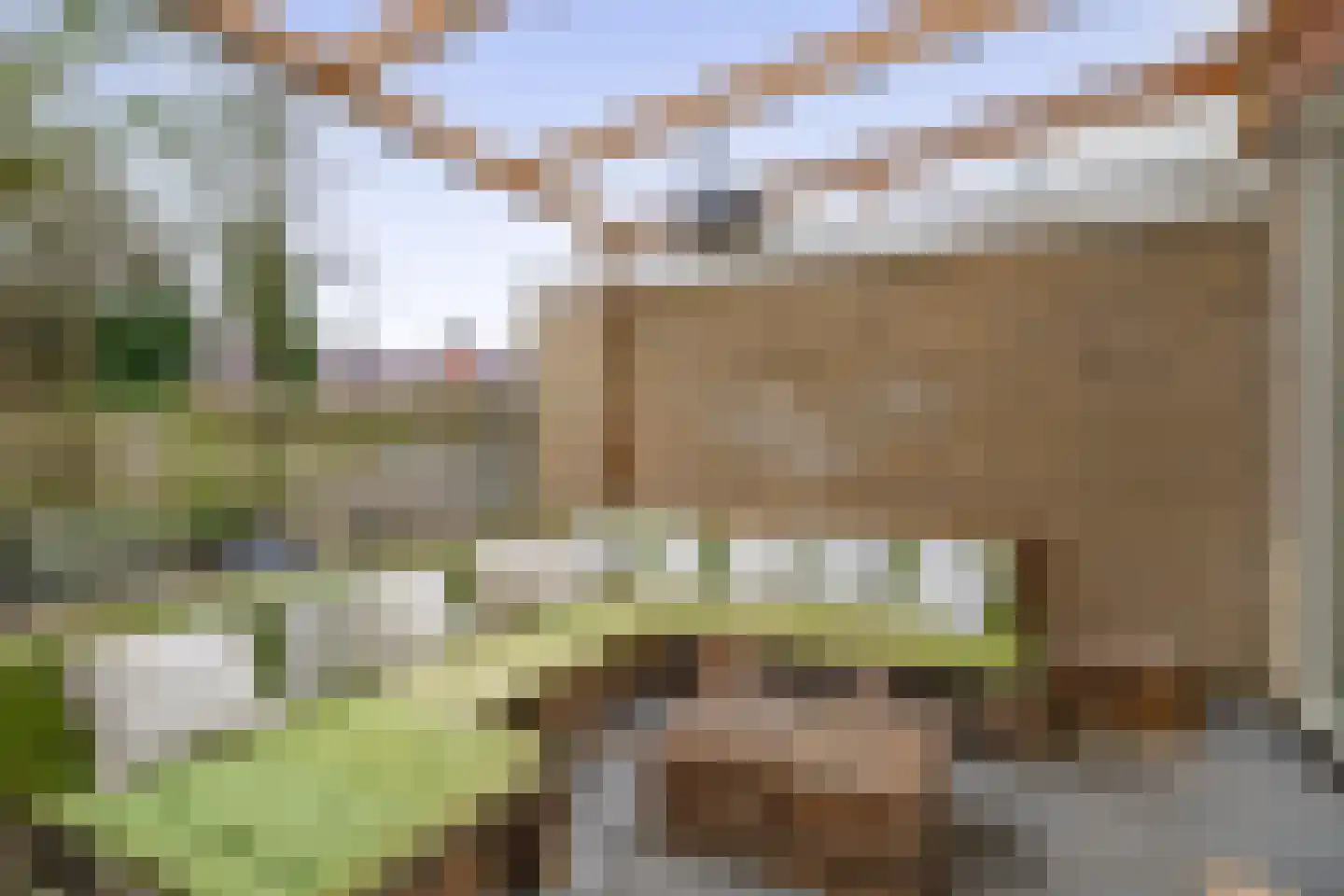 Hielkemastrjitte 36 Balk thumbnail 14
