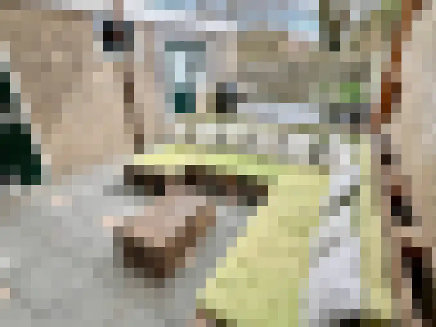 Hielkemastrjitte 36 Balk thumbnail 16