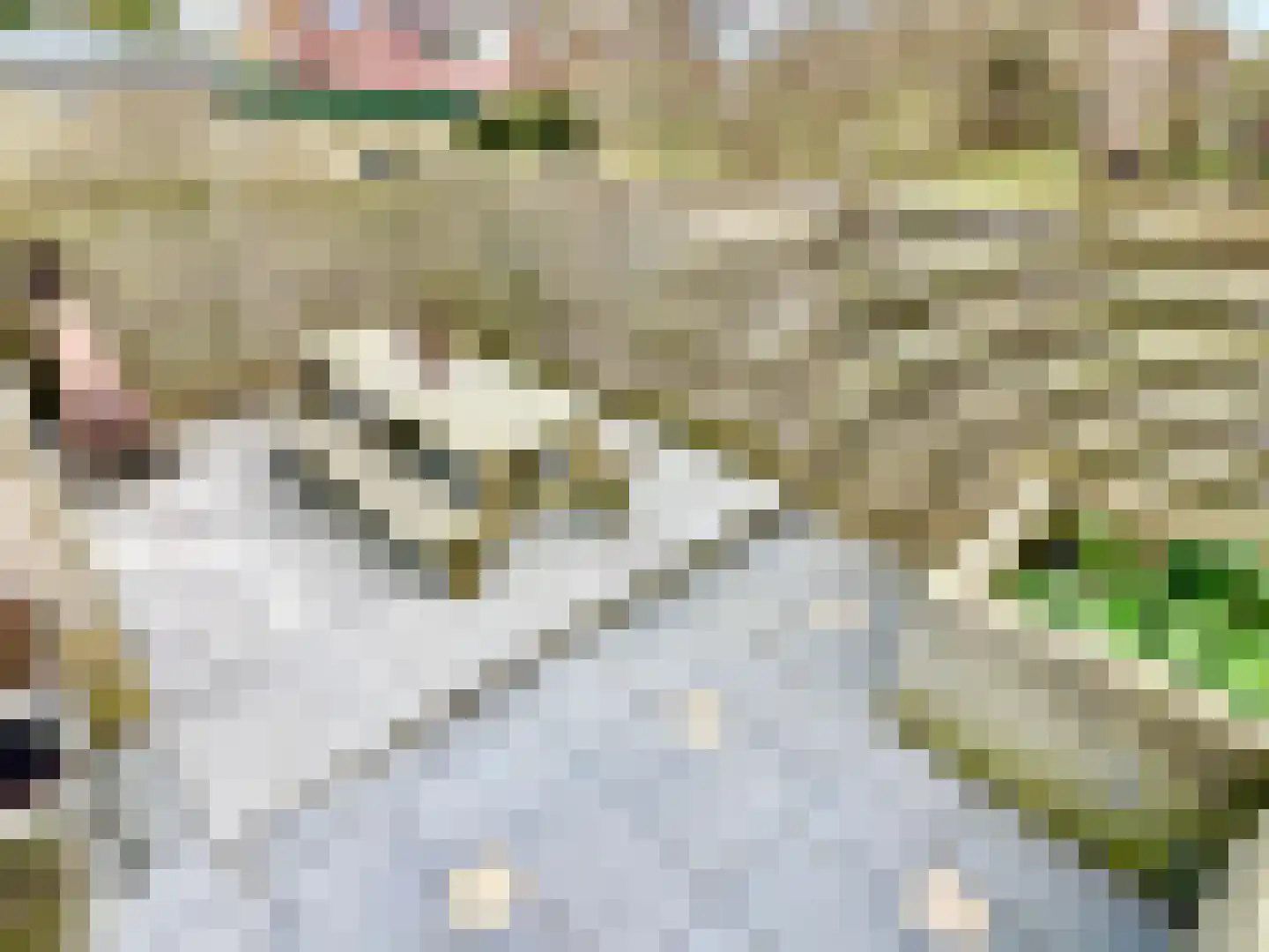 Hielkemastrjitte 36 Balk thumbnail 17