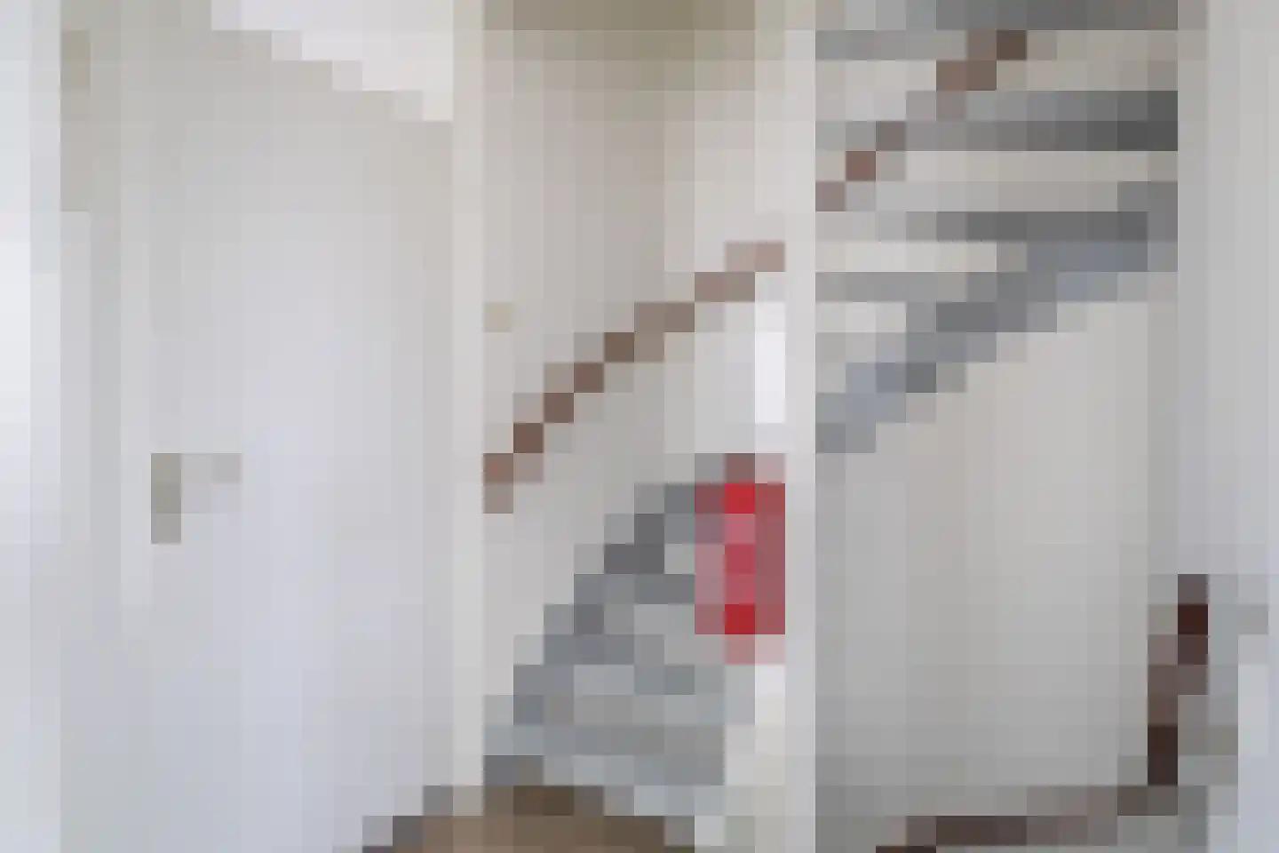 Hielkemastrjitte 36 Balk thumbnail 19
