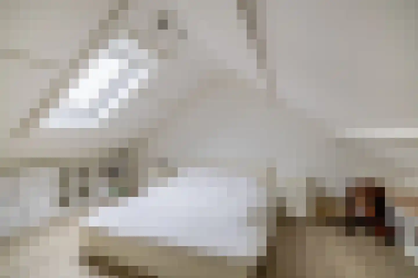 Hielkemastrjitte 36 Balk thumbnail 30