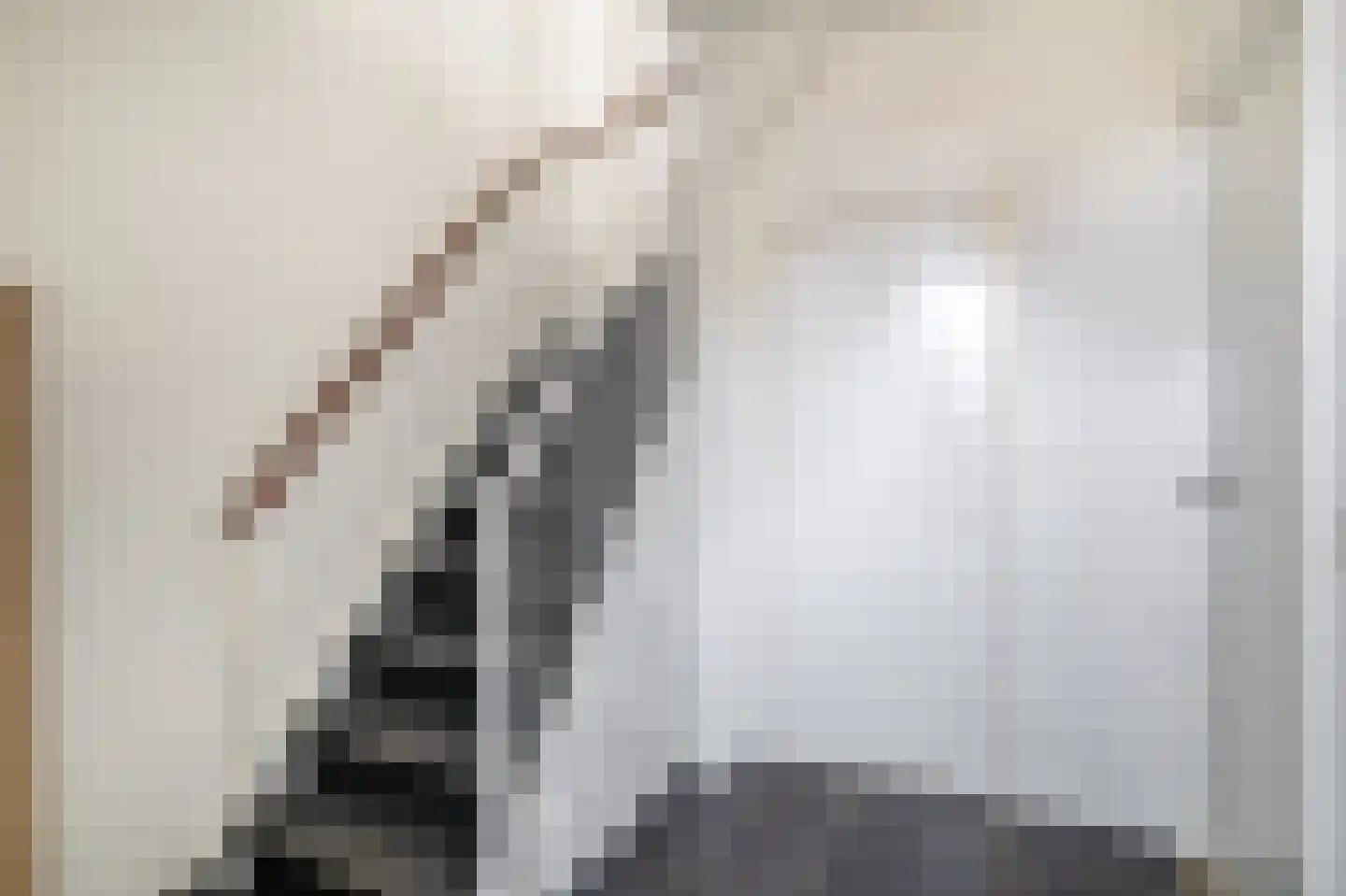 Hielkemastrjitte 36 Balk thumbnail 5