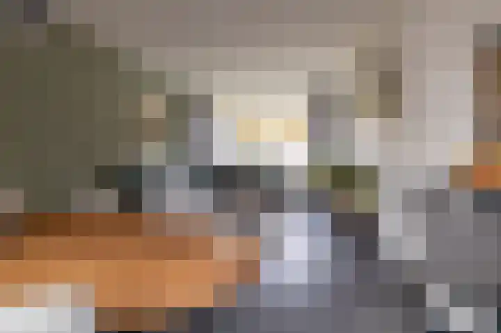Hielkemastrjitte 40 Balk thumbnail 12