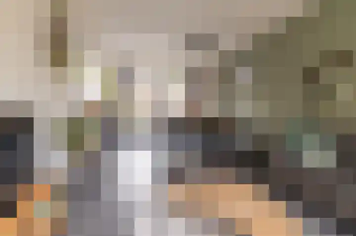 Hielkemastrjitte 40 Balk thumbnail 13