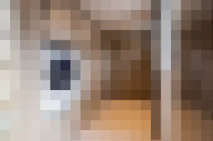 Hielkemastrjitte 40 Balk thumbnail 15