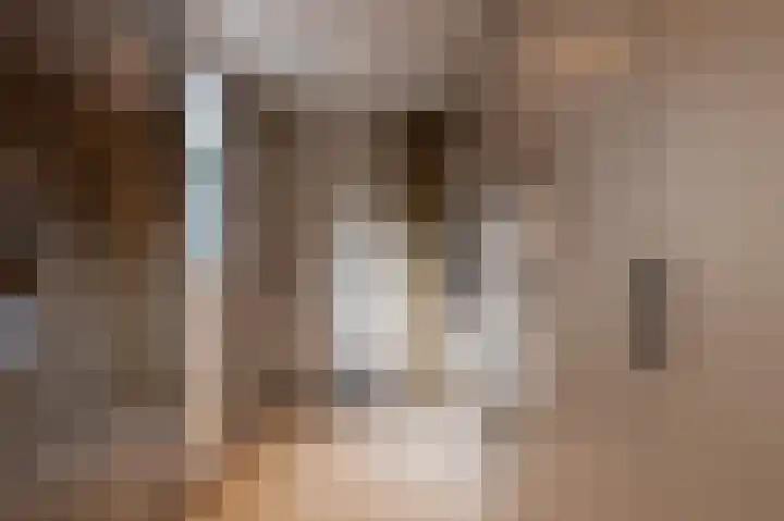 Hielkemastrjitte 40 Balk thumbnail 16