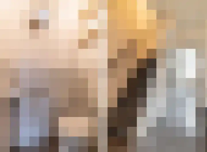 Hielkemastrjitte 40 Balk thumbnail 17