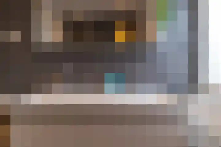 Hielkemastrjitte 40 Balk thumbnail 20