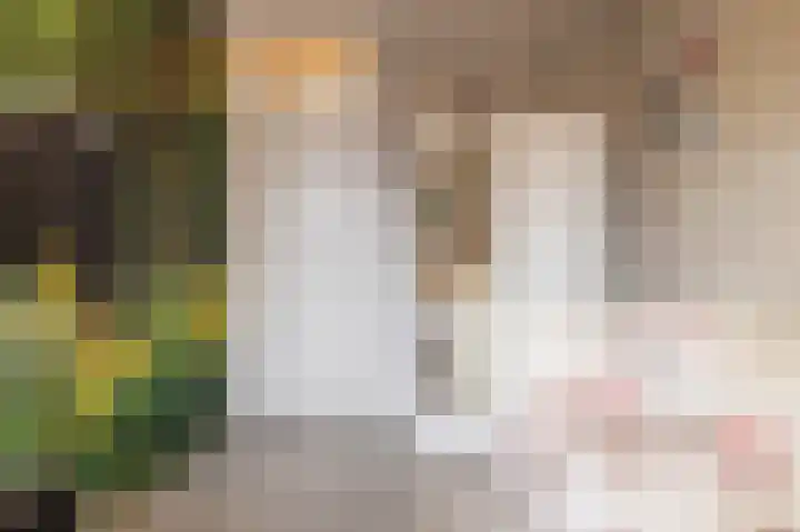Hielkemastrjitte 40 Balk thumbnail 22