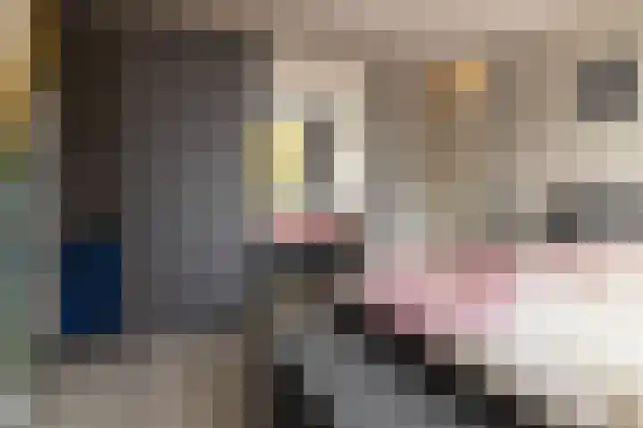 Hielkemastrjitte 40 Balk thumbnail 24