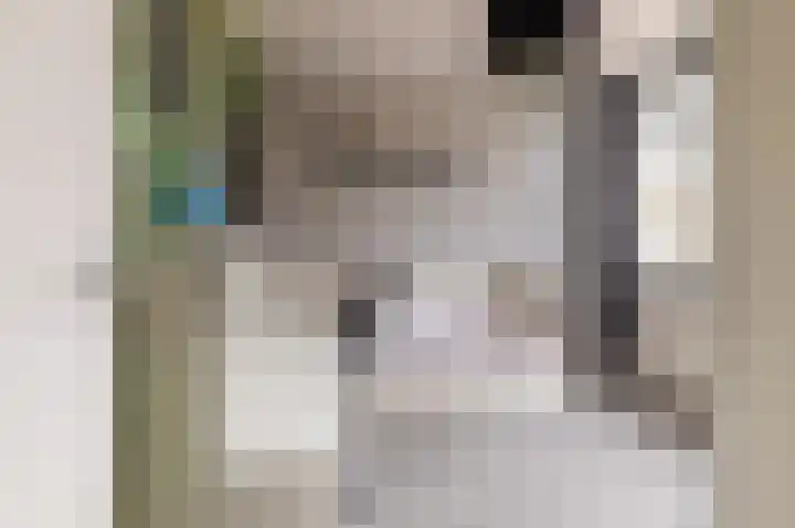 Hielkemastrjitte 40 Balk thumbnail 25