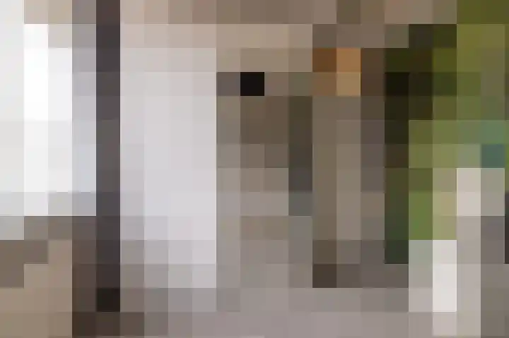 Hielkemastrjitte 40 Balk thumbnail 26