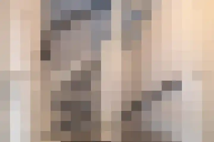 Hielkemastrjitte 40 Balk thumbnail 27