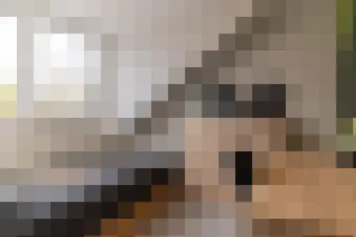 Hielkemastrjitte 40 Balk thumbnail 30